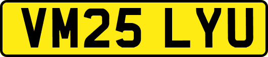VM25LYU