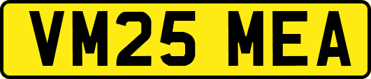 VM25MEA