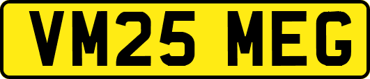 VM25MEG