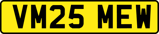 VM25MEW
