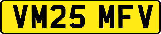 VM25MFV