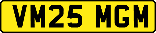 VM25MGM