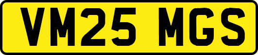 VM25MGS