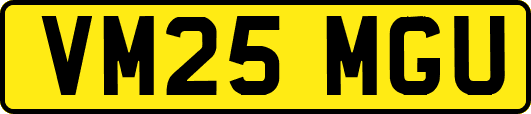 VM25MGU