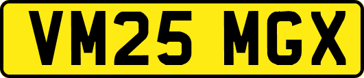 VM25MGX
