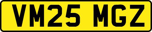 VM25MGZ