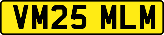 VM25MLM