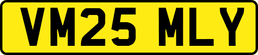VM25MLY