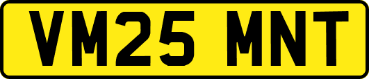 VM25MNT