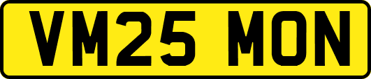 VM25MON