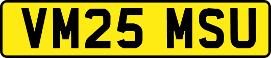 VM25MSU