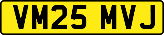 VM25MVJ