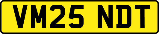VM25NDT
