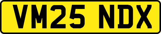 VM25NDX