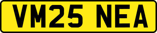 VM25NEA