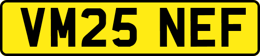 VM25NEF