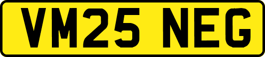 VM25NEG