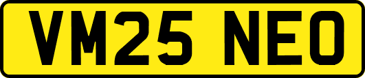 VM25NEO