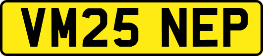 VM25NEP