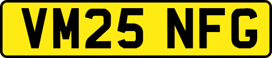 VM25NFG