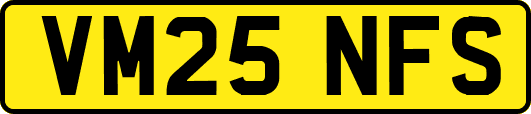 VM25NFS