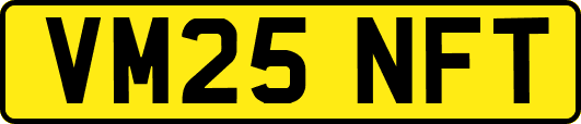 VM25NFT