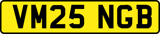 VM25NGB