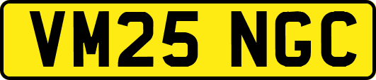 VM25NGC