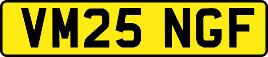 VM25NGF