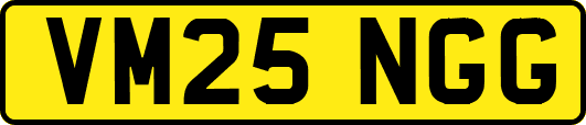 VM25NGG