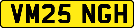 VM25NGH