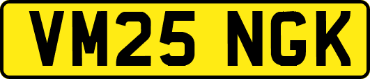VM25NGK