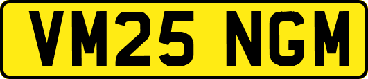 VM25NGM