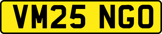 VM25NGO