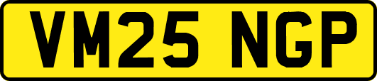 VM25NGP