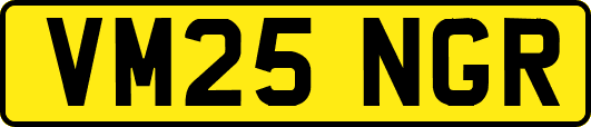 VM25NGR