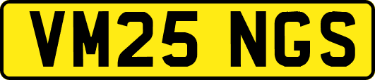 VM25NGS