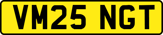 VM25NGT