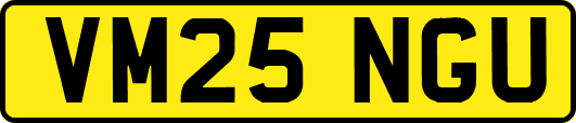 VM25NGU