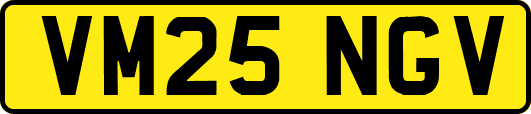 VM25NGV