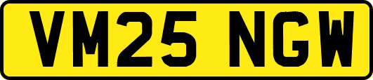 VM25NGW