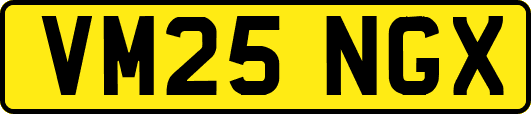 VM25NGX