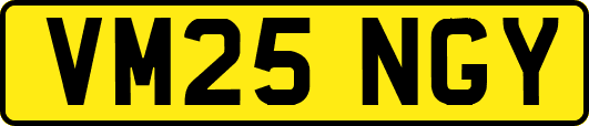 VM25NGY