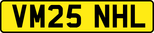 VM25NHL