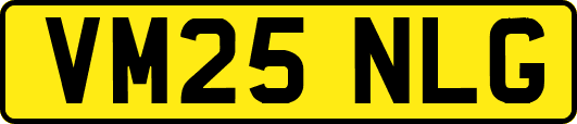 VM25NLG