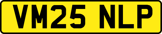 VM25NLP