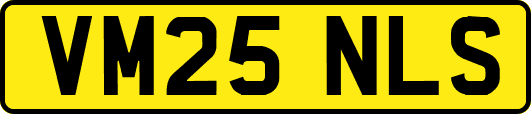 VM25NLS