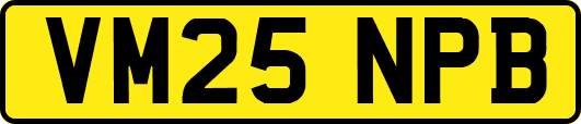 VM25NPB