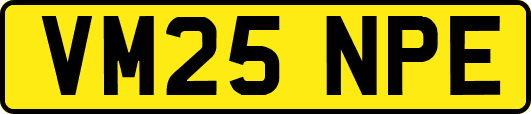 VM25NPE