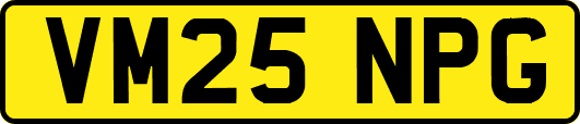 VM25NPG